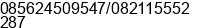 Phone number of Mr. Aristyo at Bandung